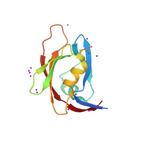 Rcsb Pdb 6bxg 145 Angstrom Resolution Crystal Structure Of Pdz