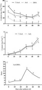 Ascorbic Acid Metabolism During Sweet Cherry Prunus Avium Fruit