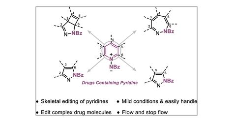 Photochemical Skeletal Editing Of Pyridines To Bicyclic Pyrazolines And