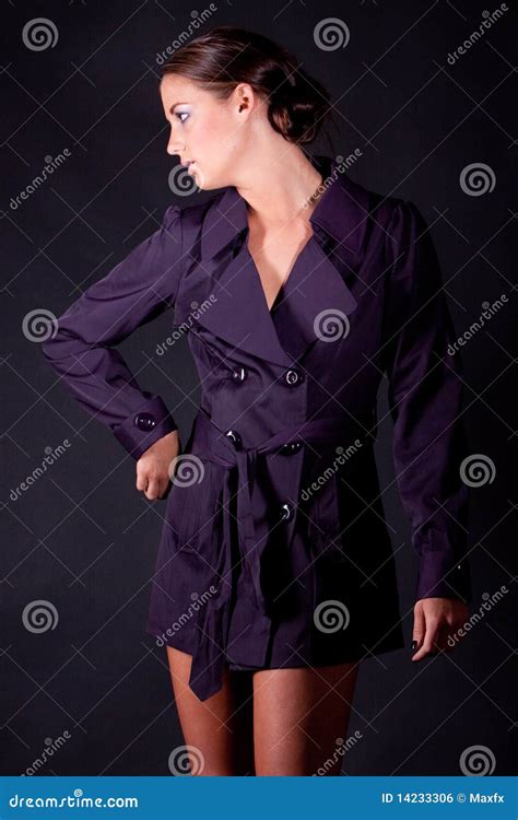 Belle Fille De Mode De Brunette Photo Stock Image Du Beau Mode