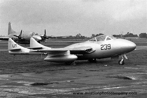 The Aviation Photo Company Vampire De Havilland Royal Navy