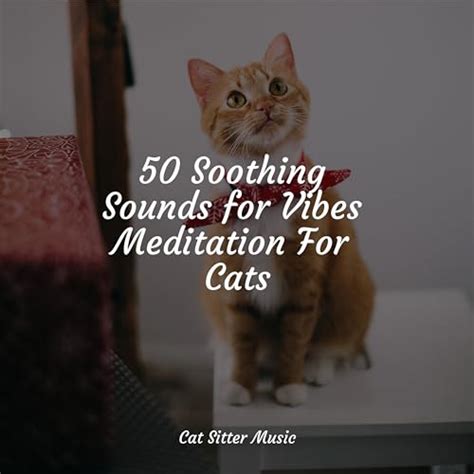 Play 50 Soothing Sounds For Vibes Meditation For Cats By Music For