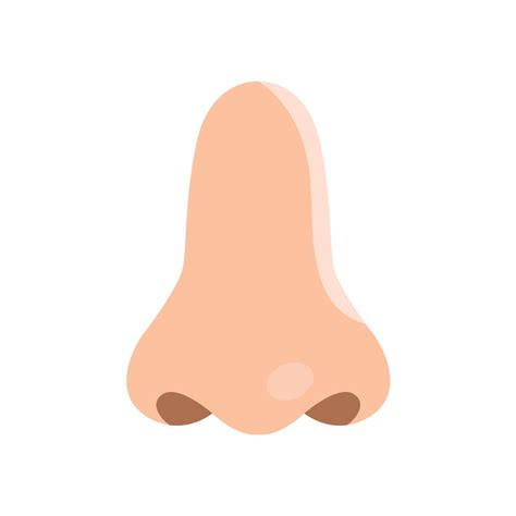 Human Nose Flat Clip Art Illustration Isolated Icon 9361806 Vector Art