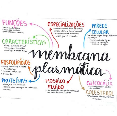 Mapa Mental Da Membrana Plasm Tica Revoeduca