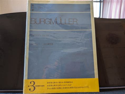 ブルグミュラー25の練習曲一覧表｜練習する順番は？難易度も解説 Pia