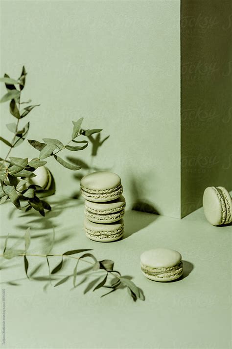 Green Macarons By Stocksy Contributor Tatjana Zlatkovic Stocksy