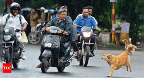 Two Wheeler Riders Dogged By Strays But Hit By Underreporting Of