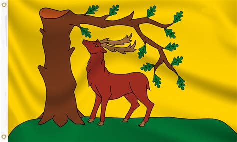 Buy Hampshire Flags Hampshire County Flags For Sale At Flag And