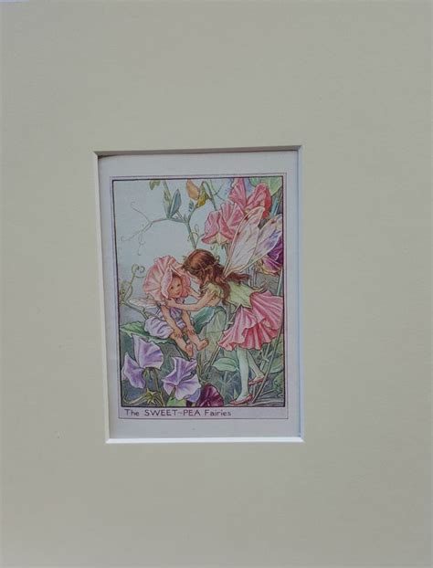 Flower Fairy Mounted Vintage Print Sweet Pea Fairy Cicely Mary Barker