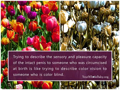 Let S Talk About Sex Your Whole Baby