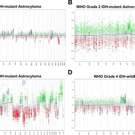 Representative Copy Number Profiles Of A A WHO Grade 2 IDH Mutant