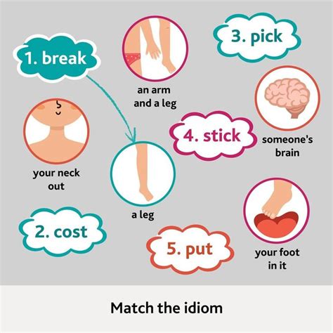 Cambridge English On Instagram “body Idioms Challenge 🧠🦵🦶👃👅⁣ ⁣ Can