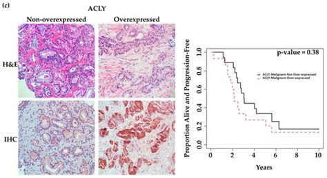 Ijms Free Full Text Prostate Specific Membrane Antigen Psma