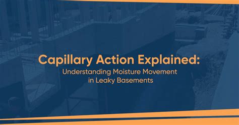 Capillary Action Explained Understanding Moisture Movement In Leaky Basements