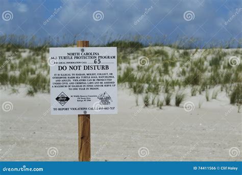 Sea Turtle Protection Sign On Bald Head Island Beach North Carolina