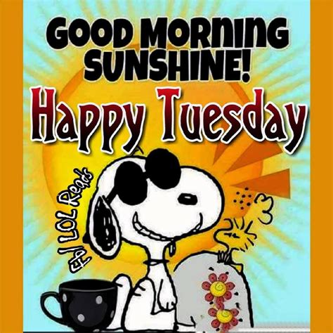 Snoopy Good Morning Sunshine Happy Tuesday Pictures, Photos, and Images ...