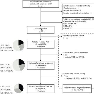 Flow Chart Of Genetic Diagnosis Of A Patient With Congenital Heart