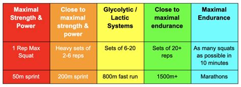 Muscular Endurance The Science Explanation And How To Train Sport Science Insider