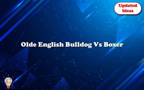 Olde English Bulldog Vs Boxer - Updated Ideas