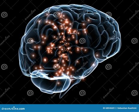 Cerveau Transparent Humain Illustration Stock Illustration Du T Te