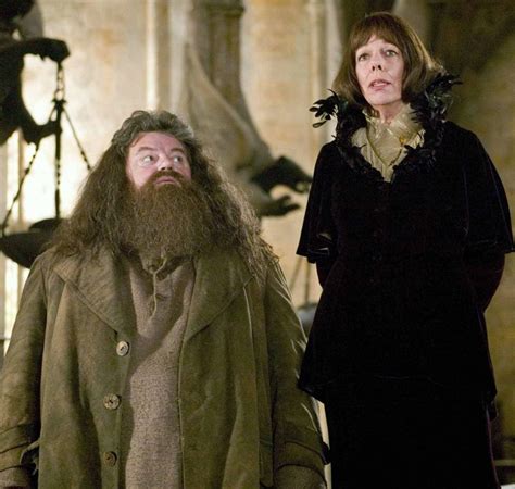 Goblet Of Fire~ Hagrid & Madame Maxime in 2020 | Harry potter, Harry ...