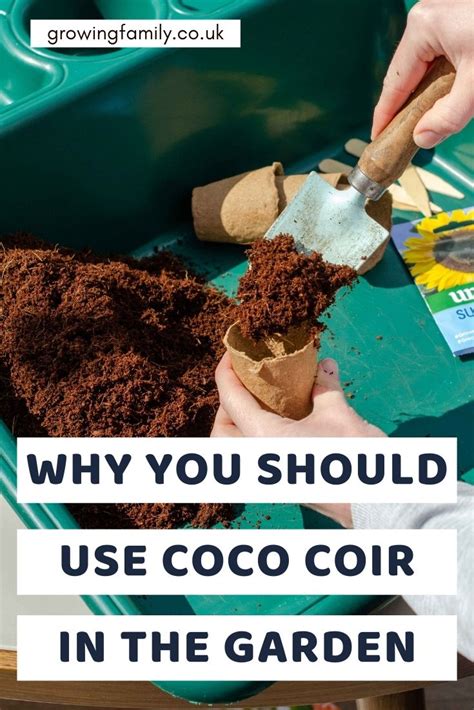 Coco coir brick: eco friendly compost from Coco & Coir - Growing Family