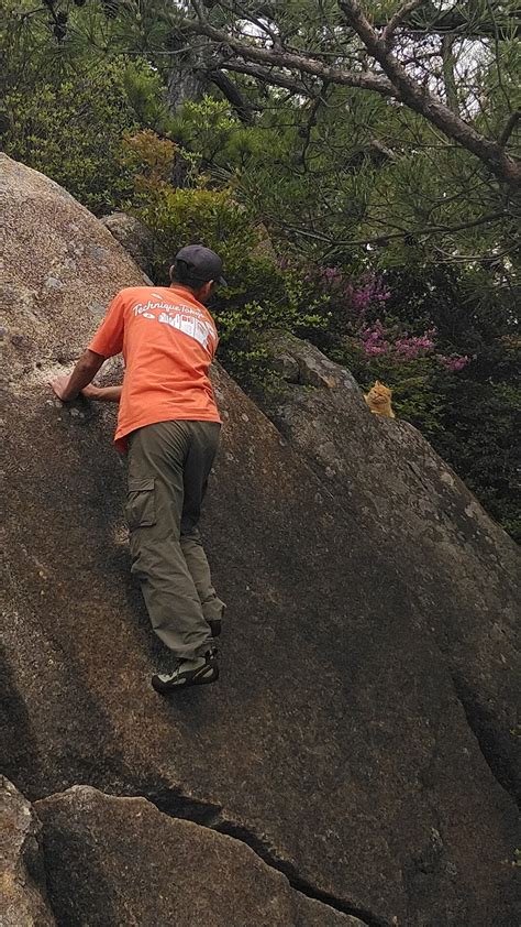 へなちょこ散歩人が行く、毎度の荒地山散歩。 亮介さんの六甲山・長峰山・摩耶山の活動日記 Yamap ヤマップ