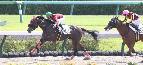 ＜中山4r＞新馬戦を制した横山典騎乗のトモジャシーマ （撮影・西川祐介） ― スポニチ Sponichi Annex ギャンブル