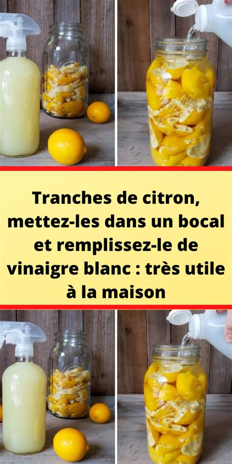 Tranches De Citron Mettez Les Dans Un Bocal Et Remplissez Le De