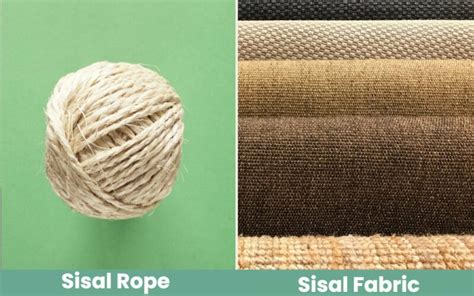 Sisal Rope vs. Sisal Fabric for Cat Scratching Posts: Key Differences, Benefits & FAQ - Catster