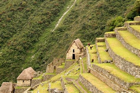 Inca Terrace Farming