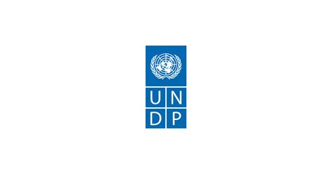 UNDP Digital Guides