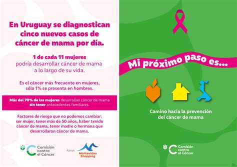 Prevención Del Cáncer De Mama Camdel Iampp