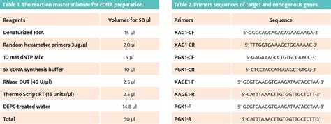 Pdf Cancer Testis Antigen Xage Is A Promising Marker For The