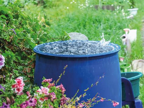 Soluciones Para La Escasez De Agua En Los Hogares Fan Del Agua