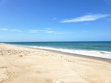 Things To Do In Titusville Florida Buddy The Traveling Monkey
