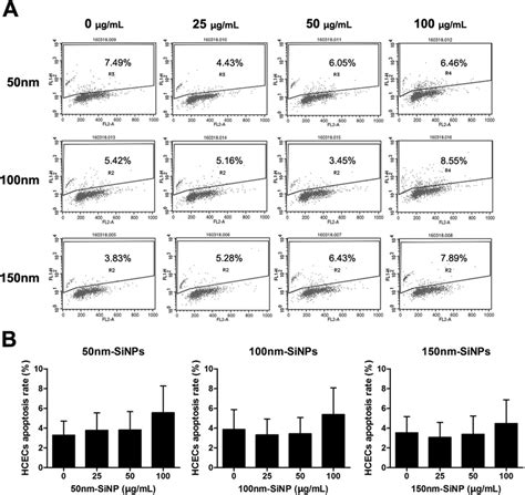 Apoptosis Assay Cellular Apoptosis Using The Tunel Assay Following