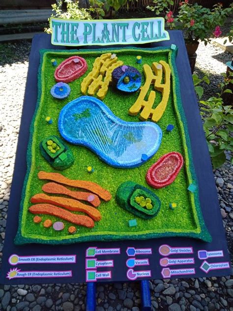 3d Plant Cell Plant Cell Project Plant Cell Cells Project