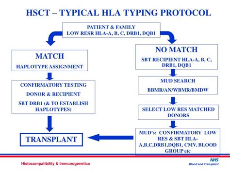 Ppt Principles Of Hla Typing Hla Matching In Hsct David Smillie H