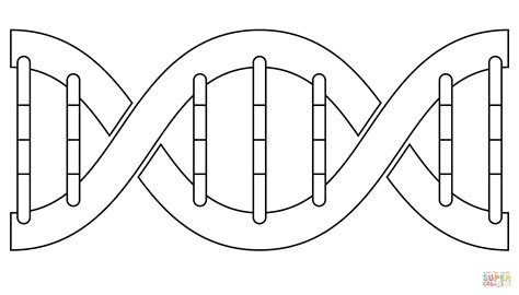 Dibujo De Gene Para Colorear Dibujos Para Colorear Imprimir Gratis