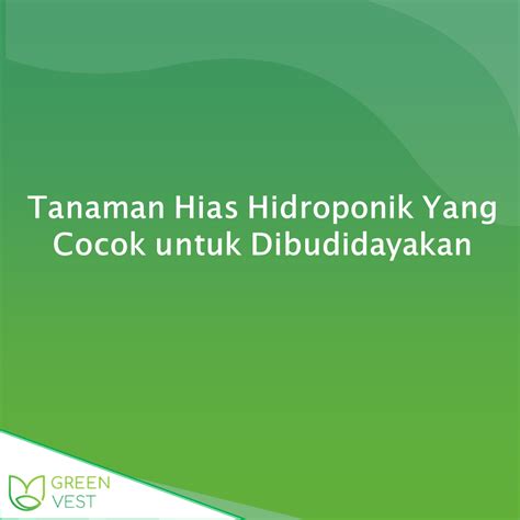 Tanaman Hias Hidroponik Yang Cocok Dibudidayakan Di Rumah