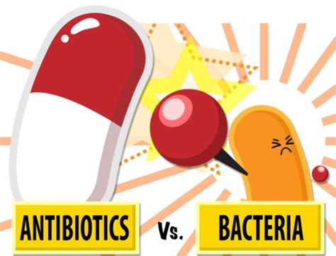 Herenciageneticayenfermedad Antibiotic Resistance Medlineplus