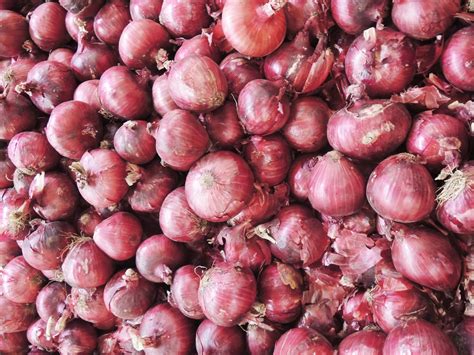 Fungsi Bawang Merah Dalam Masakan Kanetarolove