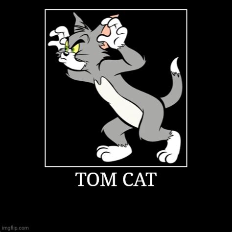 Tom Cat Imgflip