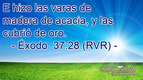 Éxodo 37 28 RVR E hizo las varas de madera de acacia y las