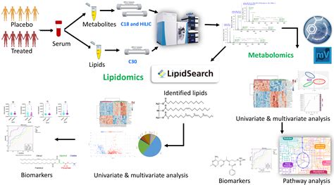 Ijms Free Full Text Serum Metabolomic And Lipidomic Profiling Reveals Novel Biomarkers Of