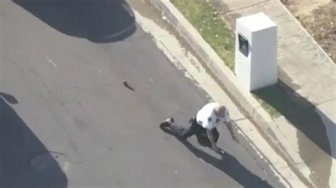 Vídeo Un policía sufre el brutal ataque de un enjambre de abejas