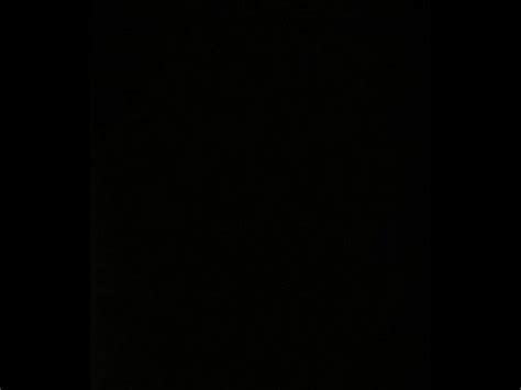 Esta Perra Venezolana XVIDEOS