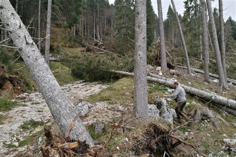 Overshoot day 2023 l Italia è in debito con il pianeta La Nuova Ecologia