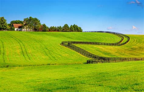 Ocala Horse Farms - Fine Homes Of Ocala